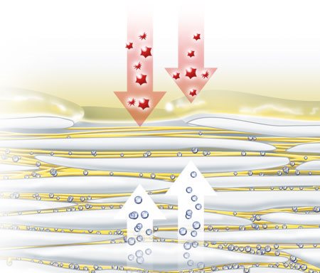 Зображення природних зволожуючих факторів, які випаровуються через шкіру