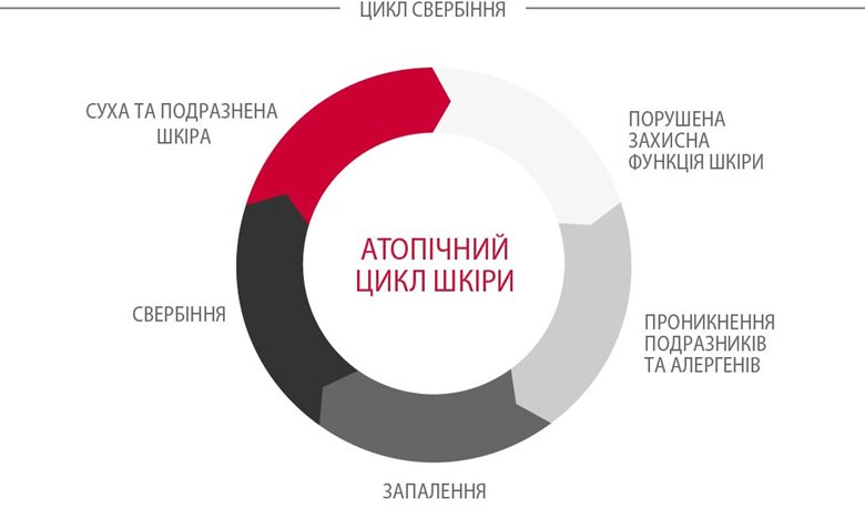 Цикл атопічної шкіри (також відомий як колообіг свербіння-розчухування)